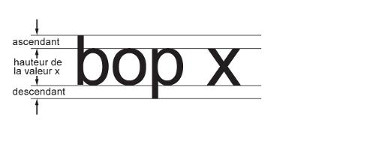 La hauteur du « x » minuscule est appelée « hauteur de la valeur x ». La partie de la lettre minuscule « b » qui est plus haute que la « hauteur de la valeur x » est appelée « ascendant ». La partie de la lettre minuscule « p » qui est plus basse que la « hauteur de la valeur x » est appelée « descendant ».