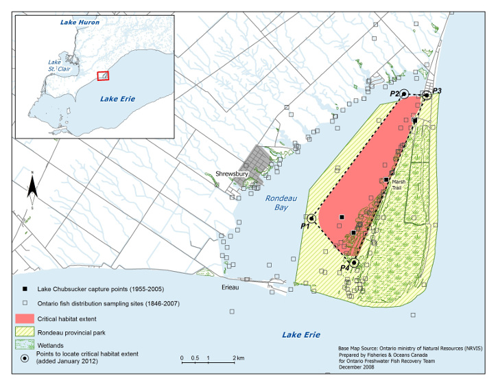 Map 3 is a map of the portion Lake Erie’s north shore that surrounds Rondeau Bay and Rondeau Provincial Park. Four points, namely, P1, P2, P3 and P4, form a quadrangle on the map within which the extent of the Lake Chubsucker’s critical habitat is illustrated. The critical habitat is located within Rondeau Provincial Park and is bounded on the east side by Marsh Trail. The map indicates Lake Chubsucker capture points (1955–2005) as well as Ontario fish distribution sampling sites (1846–2007). A smaller scale map including the area depicted by Map 3 and its surroundings is inset at the top left corner.