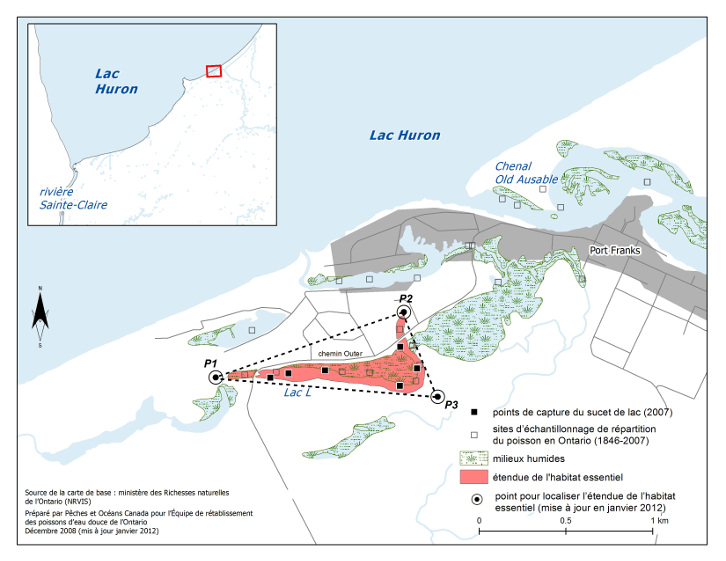La carte 2 est une carte représentant une partie de la rive sud-est du lac Huron, vers le lac L à l’intérieur des terres. Trois points (P1, P2 et P3) forment un triangle sur la carte dans lequel est illustrée l’étendue de l’habitat essentiel du sucet de lac à l’égard du lac L. La carte indique les points de capture du sucet de lac (2007), ainsi que les sites d’échantillonnage de répartition du poisson en Ontario (de 1846 à 2007). Un encart situé en haut à gauche indique l’aire représentée sur cette carte mais sur une carte à petite échelle.