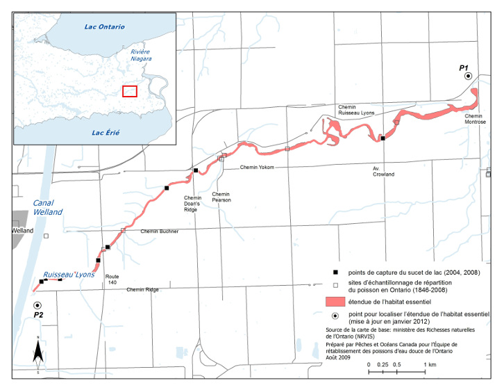 La carte 5 est une carte représentant le ruisseau Lyons. L’étendue de l’habitat essentiel du sucet de lac, comme l’illustre la carte, se situe entre le canal Welland, indiqué par le point P2, et le chemin Montrose, indiqué par le point P1. La carte indique les points de capture du sucet de lac (2004 et 2008), ainsi que les sites d’échantillonnage de répartition du poisson en Ontario (de 1846 à 2008). Un encart situé en haut à gauche indique l’aire représentée sur cette carte mais sur une carte à petite échelle.